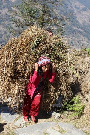 8362 Kirsten Hyldager     Working girl in Nepal      